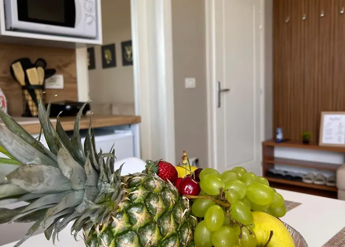 Διαμέρισμα Stadio Σκόδρα